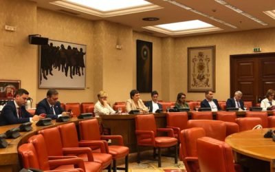 Comisión de Economía : comparecencia presidente de la CNMV